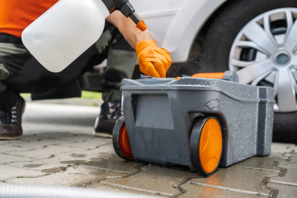 Tree and Shrub Care in Rollingwood, CA